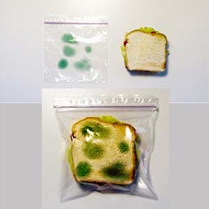 Moldy Anti Theft Lunch Bag