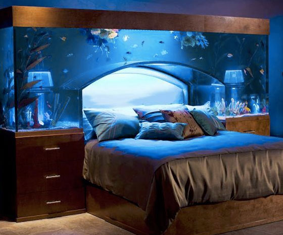 aquarium-bed1.jpg