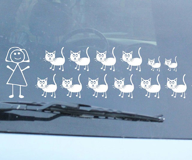 crazy-cat-lady-car-decal-640x533.jpg