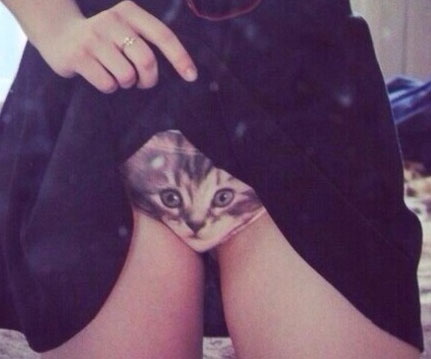 kitten-panties.jpg